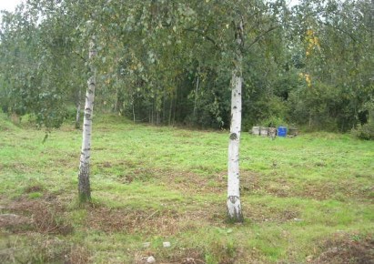 działka na sprzedaż - Leoncin, Nowe Polesie