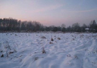 działka na sprzedaż - Żabia Wola, Osowiec-Parcela