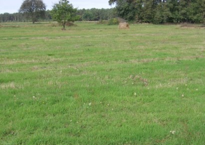 działka na sprzedaż - Zabrodzie, Głuchy