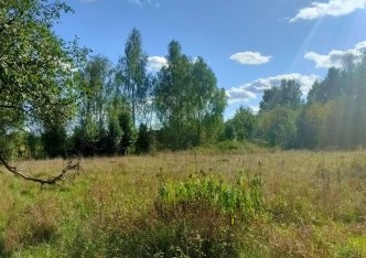 działka na sprzedaż - Pniewy, Przęsławice