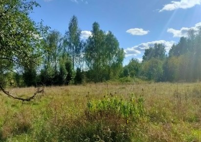 działka na sprzedaż - Pniewy, Przęsławice