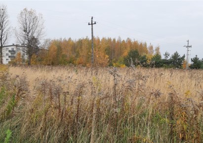 działka na sprzedaż - Grodzisk Mazowiecki (gw), Chrzanów Mały