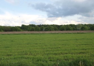 działka na sprzedaż - Warszawa, Ursynów, Natolin