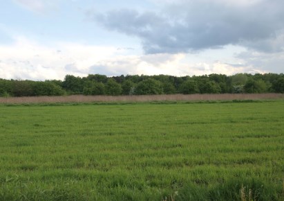 działka na sprzedaż - Warszawa, Ursynów, Natolin