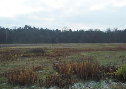 działka na sprzedaż - Wiązowna, Emów