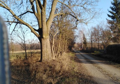 działka na sprzedaż - Chynów, Barcice Drwalewskie