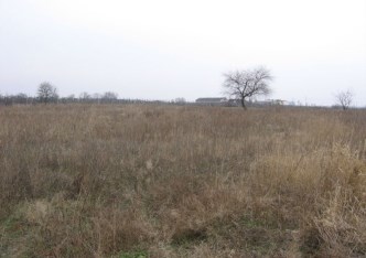 działka na sprzedaż - Lesznowola, Stachowo