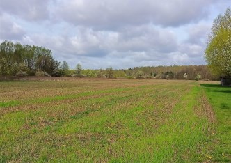 działka na sprzedaż - Prażmów, Ludwików