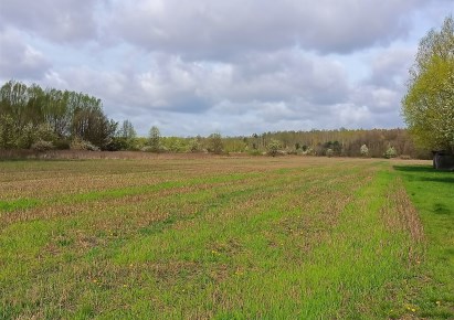 działka na sprzedaż - Prażmów, Ludwików