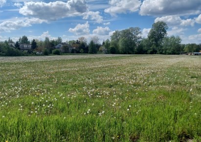 działka na sprzedaż - Jasieniec, Warpęsy