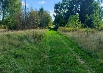 działka na sprzedaż - Leoncin, Secyminek