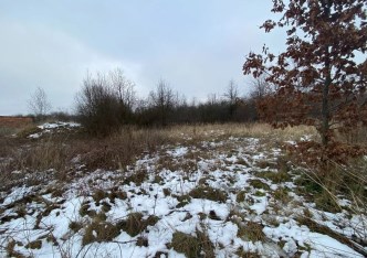 działka na sprzedaż - Radziejowice, Budy Mszczonowskie