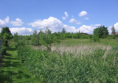 działka na sprzedaż - Pniewy, Jeziora