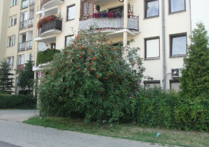 mieszkanie na wynajem - Piaseczno, Centrum, Powstańców Warszawy