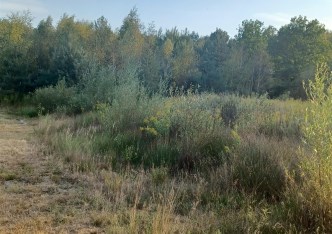 działka na sprzedaż - Prażmów, Jeziórko