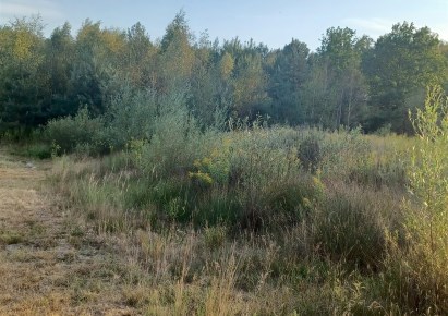 działka na sprzedaż - Prażmów, Jeziórko