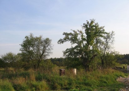 działka na sprzedaż - Piaseczno (gw), Baszkówka