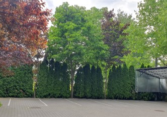 mieszkanie na sprzedaż - Piaseczno (gw), Stara Iwiczna