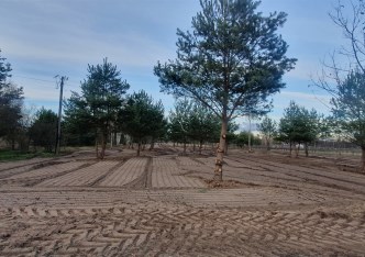 działka na sprzedaż - Grójec (gw), Częstoniew