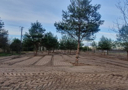 działka na sprzedaż - Grójec (gw), Częstoniew