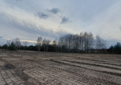 działka na sprzedaż - Grójec (gw), Częstoniew