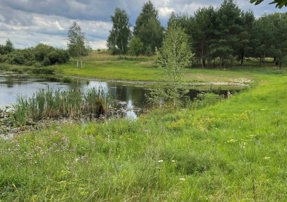 działka na sprzedaż - Pasym (gw), Grzegrzółki