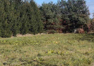 działka na sprzedaż - Tarczyn (gw), Przypki