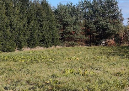 działka na sprzedaż - Tarczyn (gw), Przypki