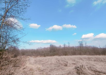 dom na sprzedaż - Tarczyn (gw), Suchostruga