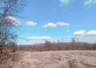 działka na sprzedaż - Tarczyn (gw), Suchostruga