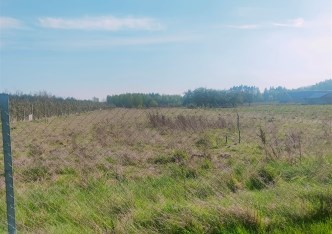 działka na sprzedaż - Tarczyn (gw), Suchostruga, 3 Maja