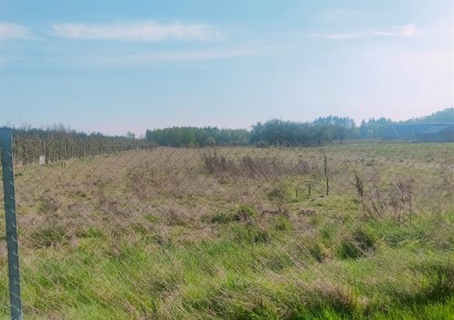 działka na sprzedaż - Tarczyn (gw), Suchostruga, 3 Maja