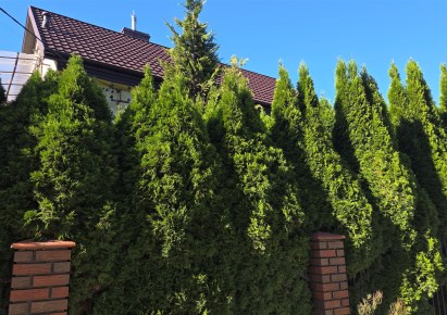 dom na sprzedaż - Nasielsk, Centrum